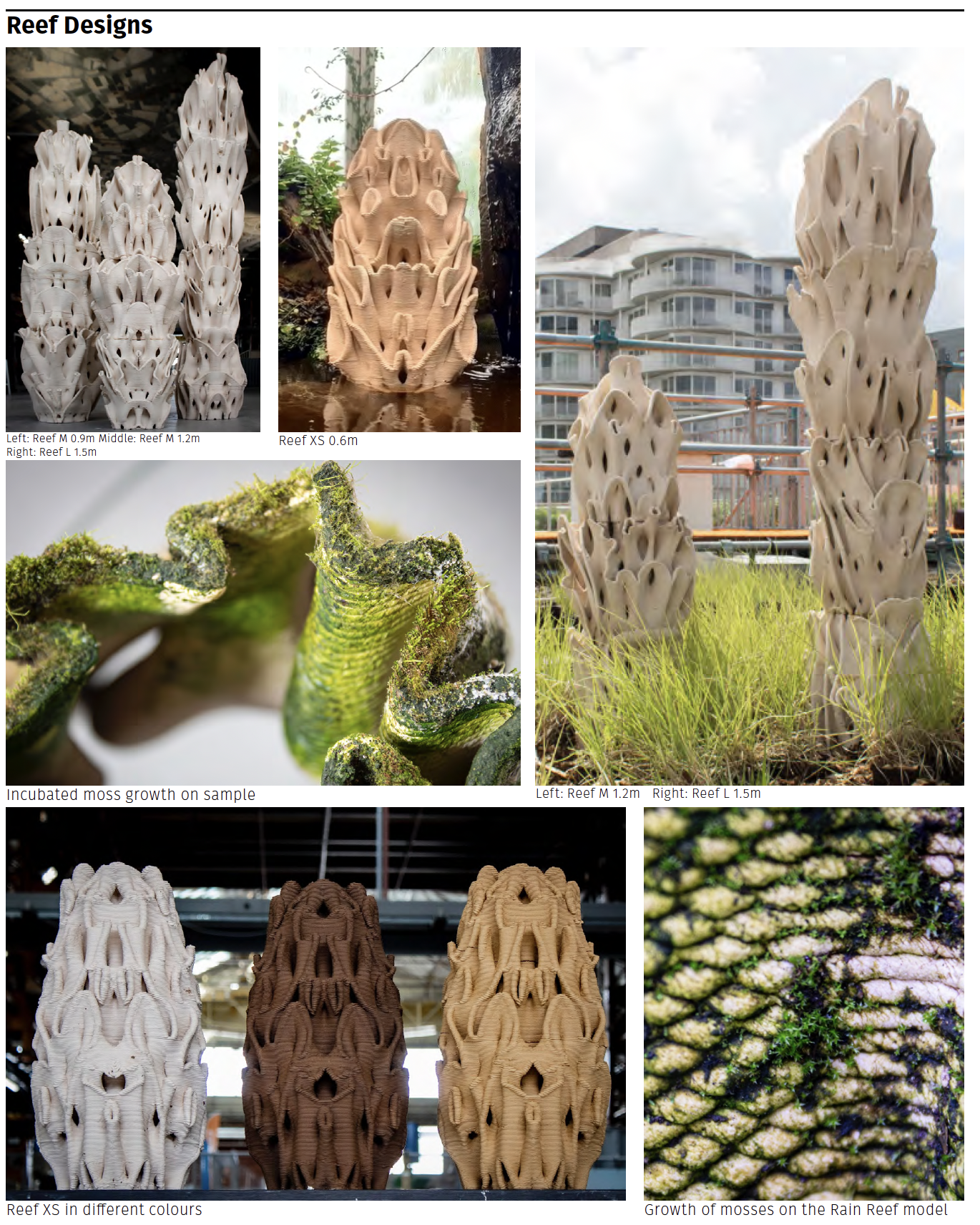 3D geprinte natuurinclusieve elementen voor biodiversiteit en klimaatadaptatie - Urban Reef